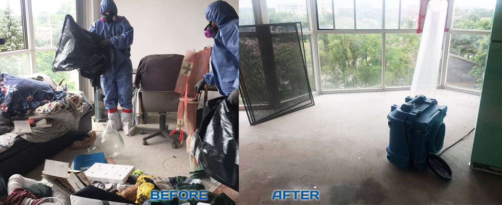 extreme cleaning pickering oshawa ajax whitby brock